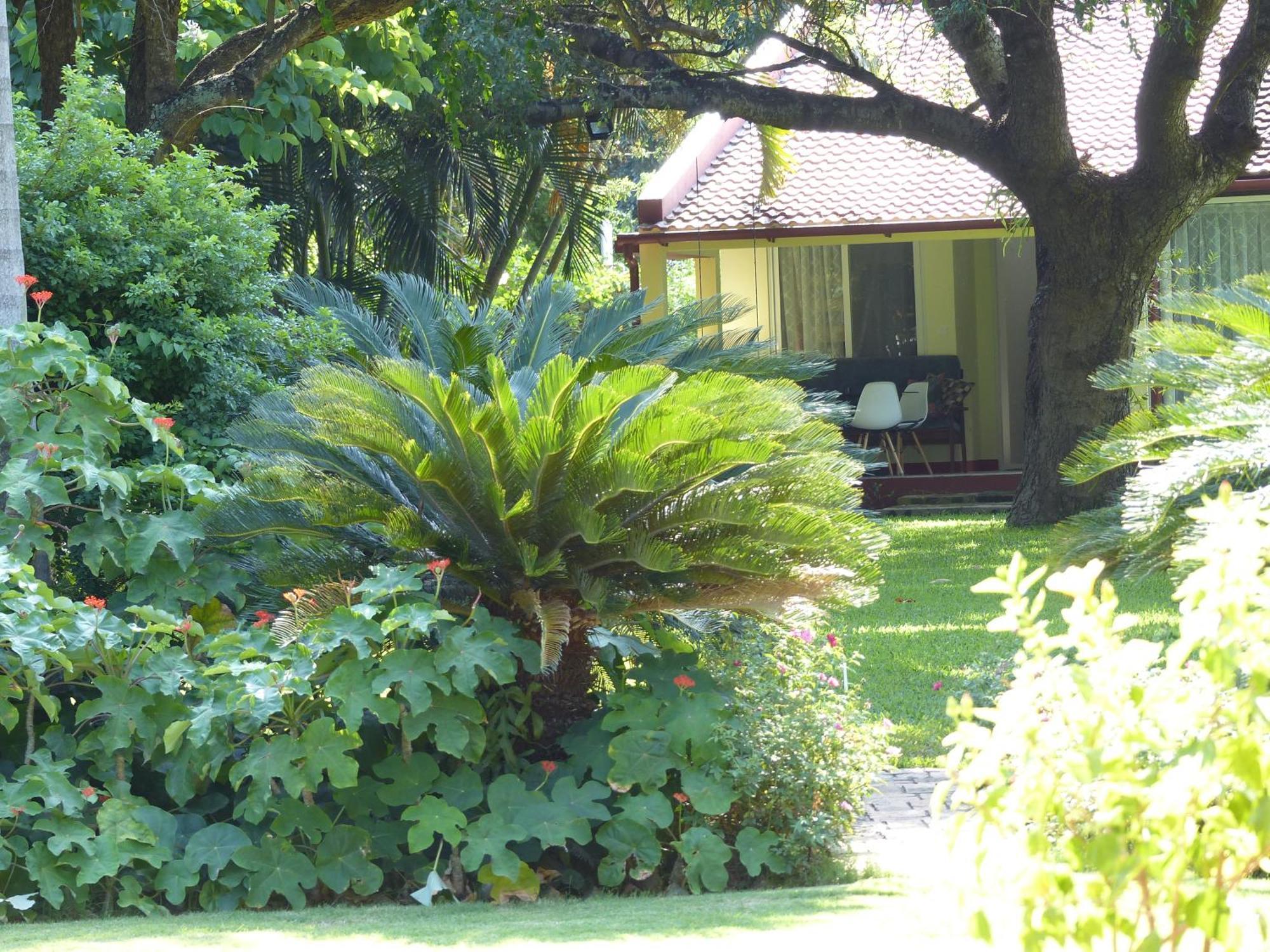 Ancha'S Oasis Hotel Maputo Luaran gambar