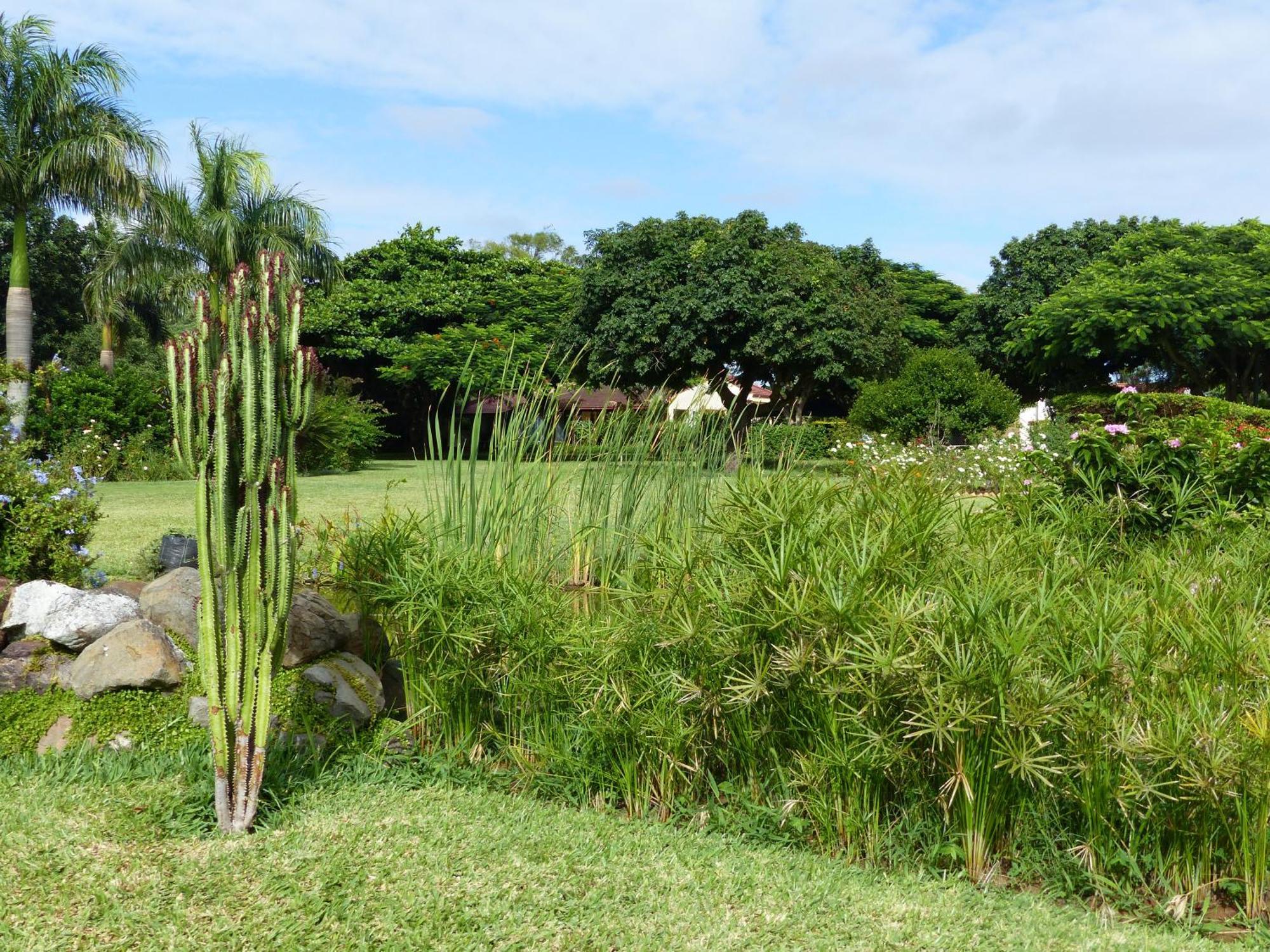 Ancha'S Oasis Hotel Maputo Luaran gambar